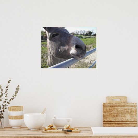 Donkey Poster (Keuken)