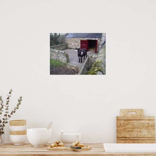 Donkey Print (Keuken)