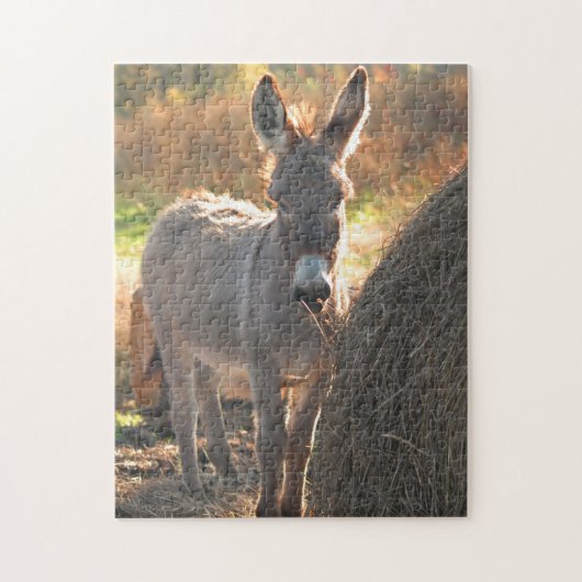 Donkey Puzzle Legpuzzel (Verticaal)
