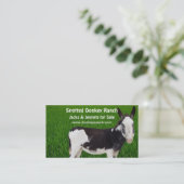 Donkey Ranch Visitekaartje (Staand voorkant)