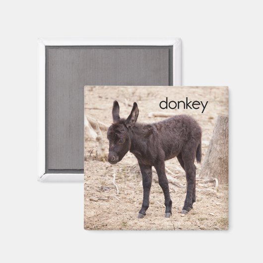 Donkey Refkoelkast Magnet (Voorkant / Achterkant)