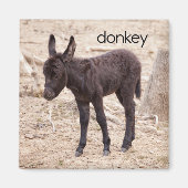 Donkey Refkoelkast Magnet (Voorkant)