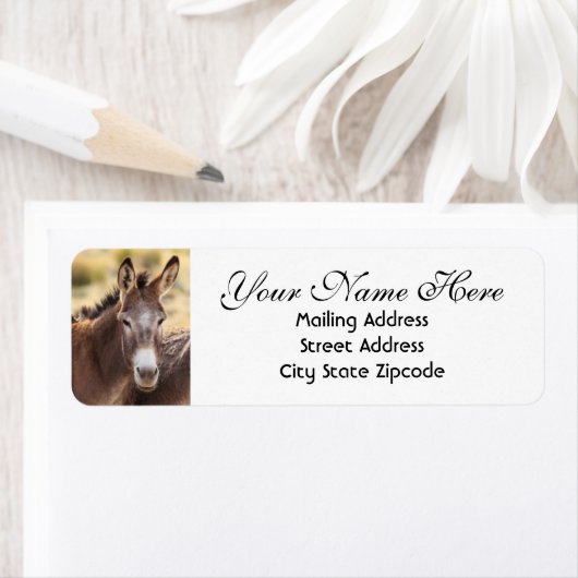 Donkey Return Address Etiket (Insitu)