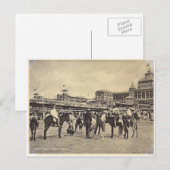 Donkey rides, Scheveningen 1906 Briefkaart (Voorkant / Achterkant)