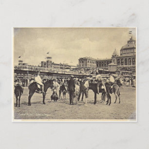 Donkey rides, Scheveningen 1906 Briefkaart