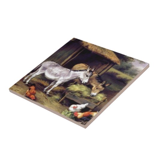 Donkey rooster boerderij tegeltje (Zijkant)