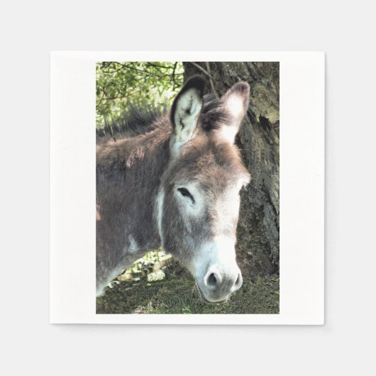 DONKEY SERVET (Voorkant)