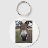 DONKEY SLEUTELHANGER (Voorkant)