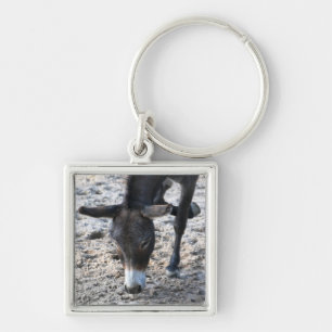Donkey Sleutelhanger