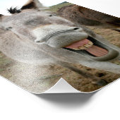 Donkey Smile Foto Afdruk (Hoek)