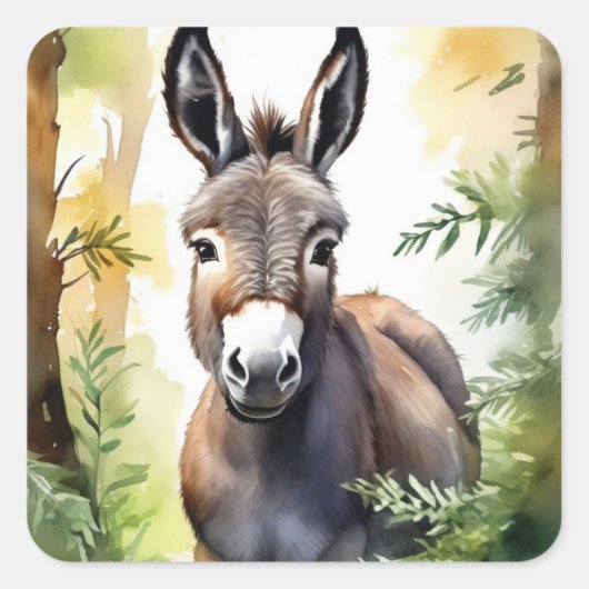 Donkey Stickers (Voorkant)