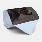 Donkey Stropdas (Opgerold)