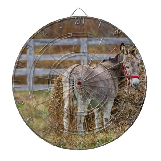 Donkey Tail Dartbord (Voorkant)