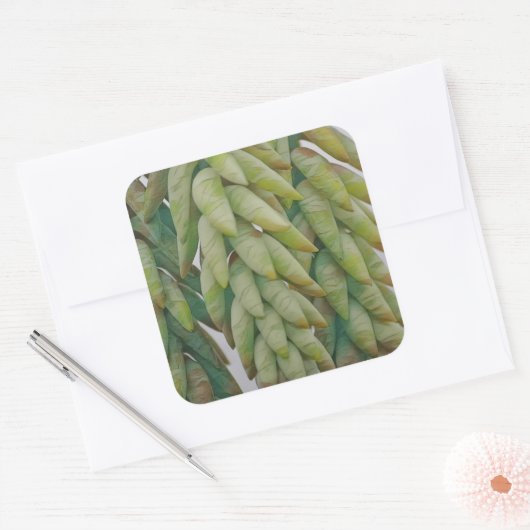 Donkey Tail Succulent Vierkante Sticker (Envelop)
