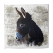 Donkey Tegeltje (Voorkant)