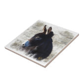 Donkey Tegeltje (Zijkant)