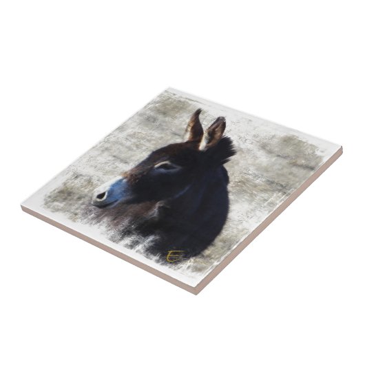 Donkey Tegeltje (Zijkant)