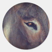 Donkey Thoughts Animal Ronde Sticker (Voorkant)