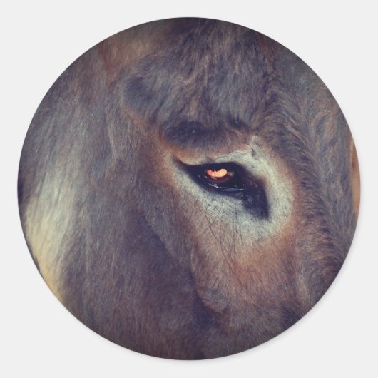 Donkey Thoughts Animal Ronde Sticker (Voorkant)