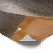 Donkey Thoughts Boerderij Animal Poster (Hoek)