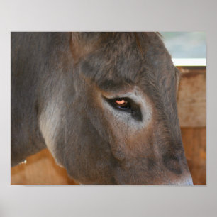Donkey Thoughts Boerderij Animal Poster