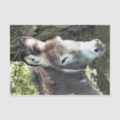 DONKEY TISSUEPAPIER (Voorkant)