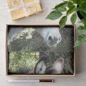 DONKEY TISSUEPAPIER (Geschenk)