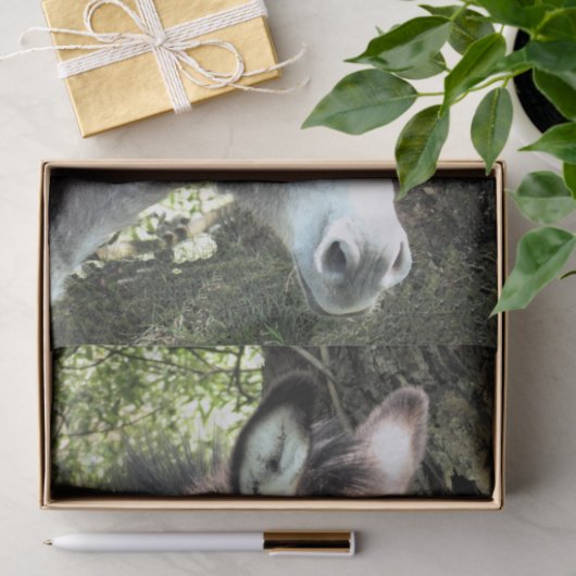 DONKEY TISSUEPAPIER (Geschenk)