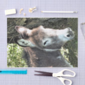 DONKEY TISSUEPAPIER (Craft)