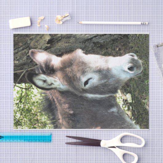 DONKEY TISSUEPAPIER (Craft)