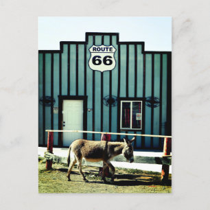 Donkey Town Oatman Arizona Aankondigingskaart