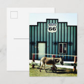 Donkey Town Oatman Arizona Aankondigingskaart (Voorkant / Achterkant)