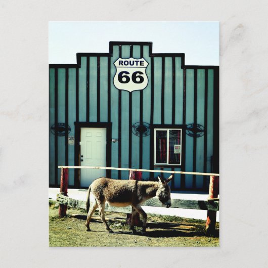 Donkey Town Oatman Arizona Aankondigingskaart (Voorkant)