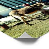 Donkey Town Oatman Arizona Poster (Hoek)