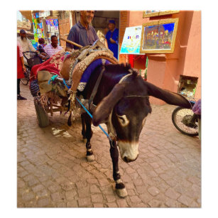 Donkey & Winkelwagen in de Medina - Marrakech, Mar Foto Afdruk