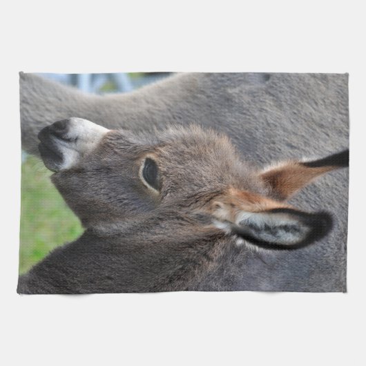 Donkeyfoaal Theedoek (Horizontaal)