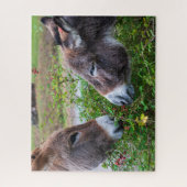 Donkeys, 520pcs legpuzzel (Verticaal)