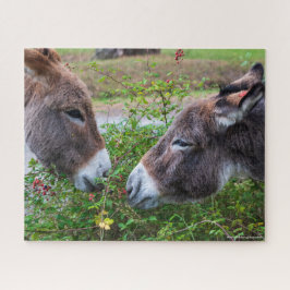 Donkeys, 520pcs legpuzzel