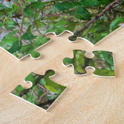 Donkeys, 520pcs legpuzzel (Zijkant)