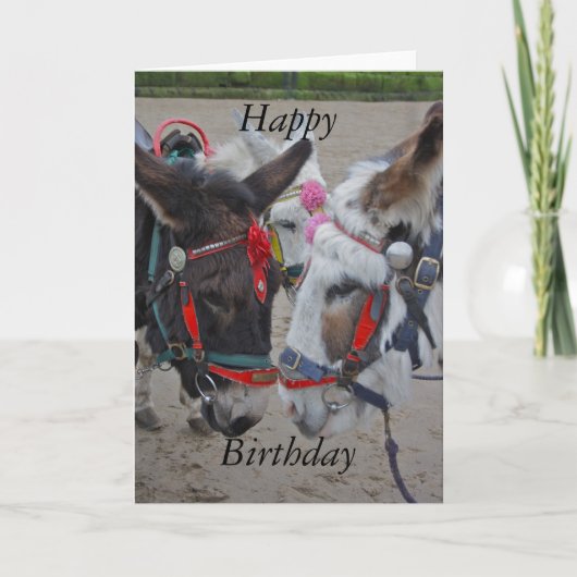 Donkeys at the Seaside Happy Birthday Card Kaart (Voorkant)