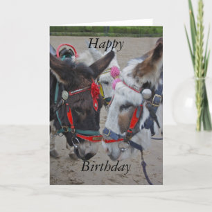 Donkeys at the Seaside Happy Birthday Card Kaart