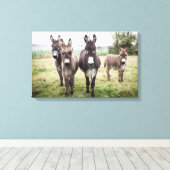 Donkeys Canvas Afdruk (Insitu (Houten vloer))