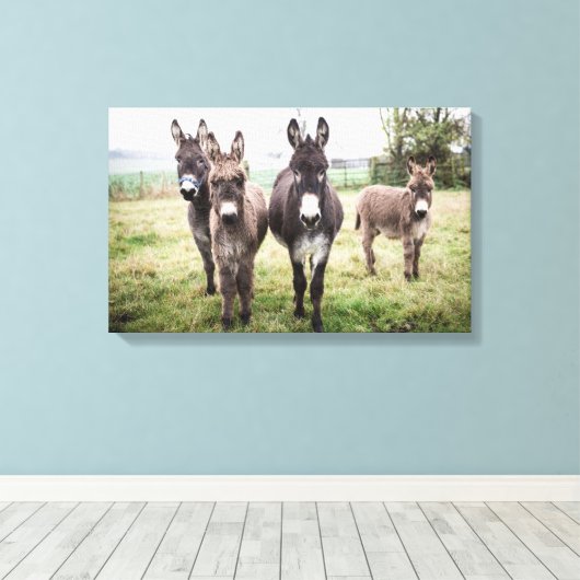 Donkeys Canvas Afdruk (Insitu (Houten vloer))