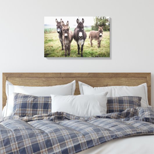 Donkeys Canvas Afdruk (Insitu (Slaapkamer))
