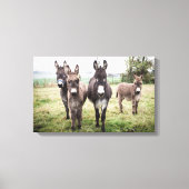 Donkeys Canvas Afdruk (Voorkant)