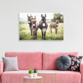 Donkeys Canvas Afdruk (Insitu (Woonkamer))
