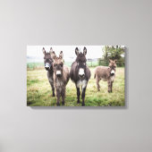 Donkeys Canvas Afdruk (Voorkant)