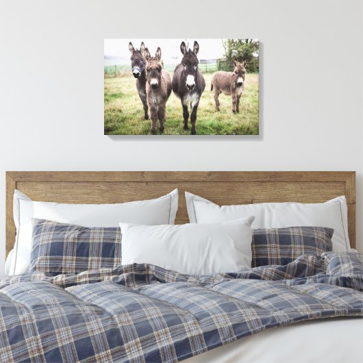 Donkeys Canvas Afdruk (Insitu (Slaapkamer))