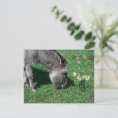 Donkeys eten geen Wilde Daffodils Briefkaart (Staand voorkant)