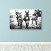 Donkeys in a Field Canvas Afdruk (Insitu (Houten vloer))